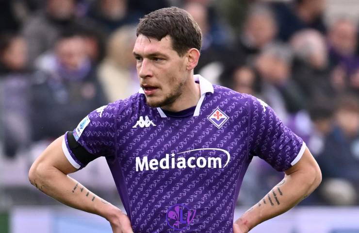 Belotti